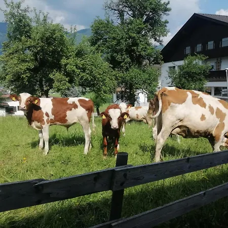 Holzegger Lejlighed *