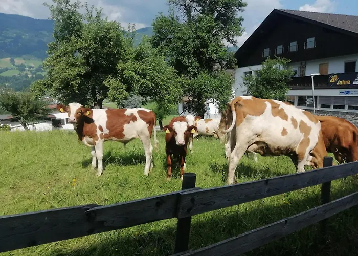 Holzegger Lejlighed *